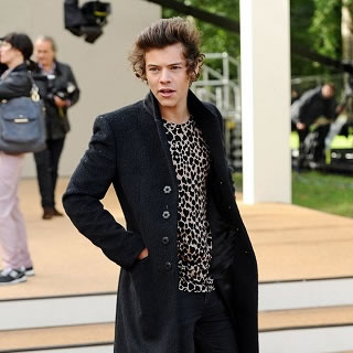 Icons of Style - Harry Styles