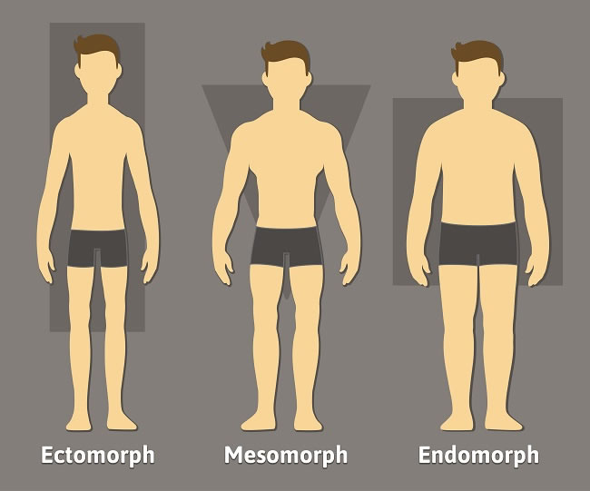 Somatotypes