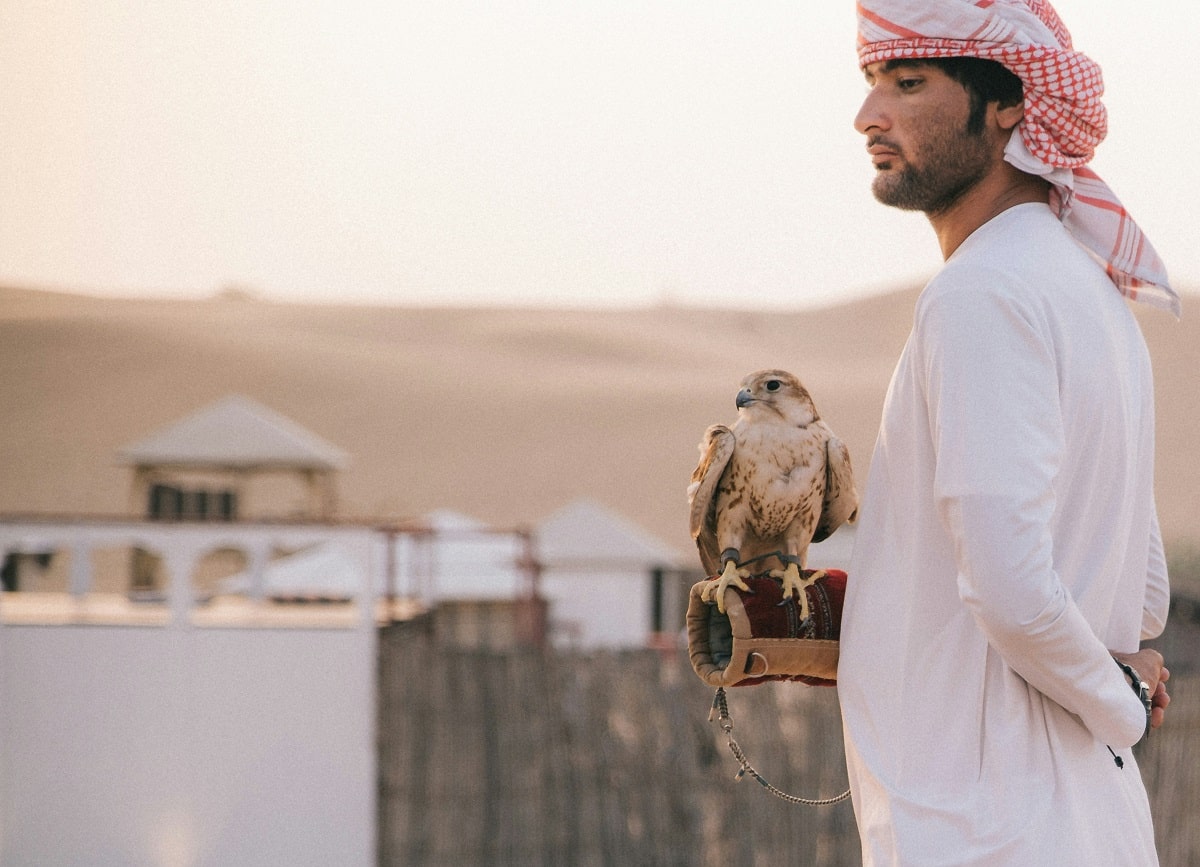 The Ultimate Guide for the Perfect Trip to the United Arab Emirates